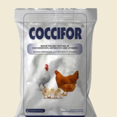 Coccifor