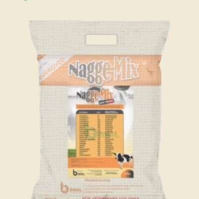 Nagge-Mix Beef Premix